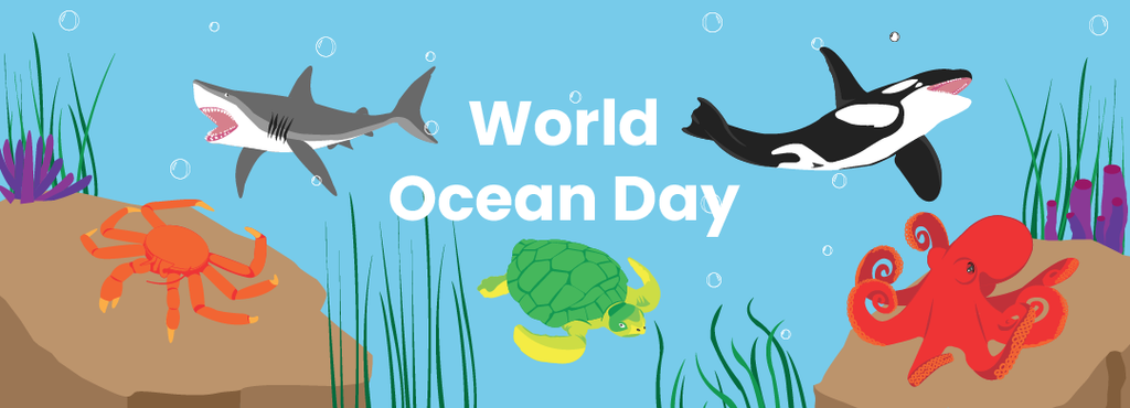 5 Recycled Toys For World Ocean Day